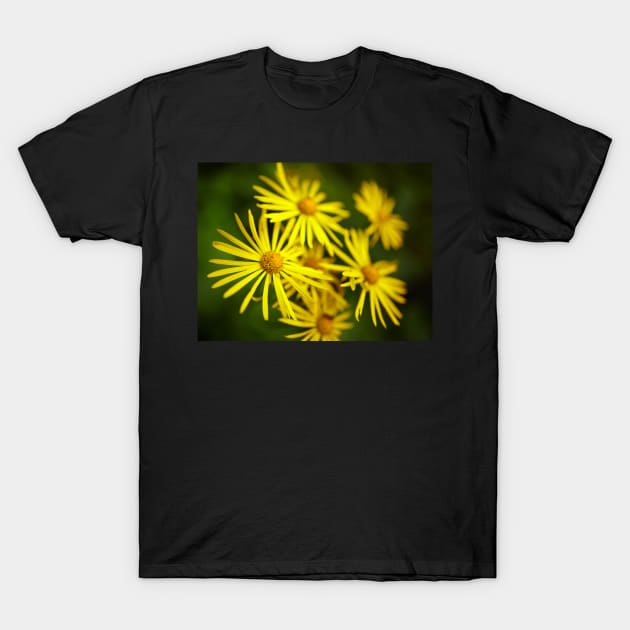 Wild yellow daisies T-Shirt by naturalis